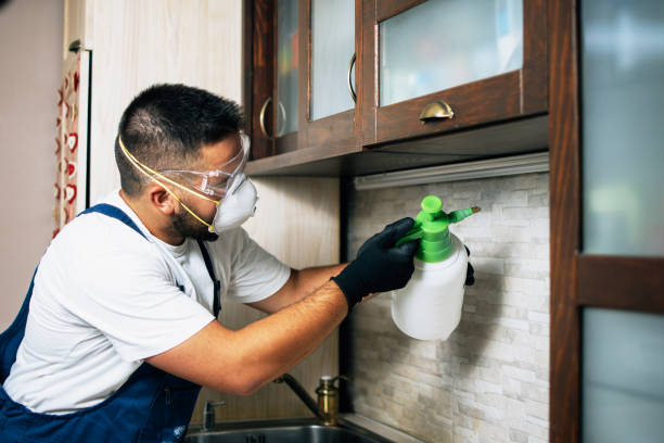Best Wasp Removal Services  in Summerset, SD