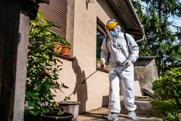 Best Flea Control Services  in Summerset, SD