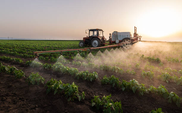 Best Local Pest Control Services  in Summerset, SD