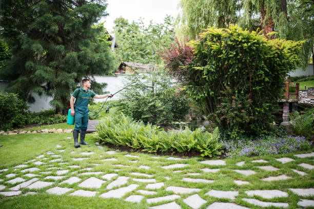 Best Pest Control for Homes  in Summerset, SD