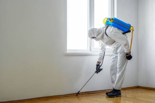 Best Pest Prevention Services  in Summerset, SD