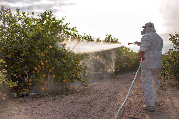 Best Residential Pest Control  in Summerset, SD